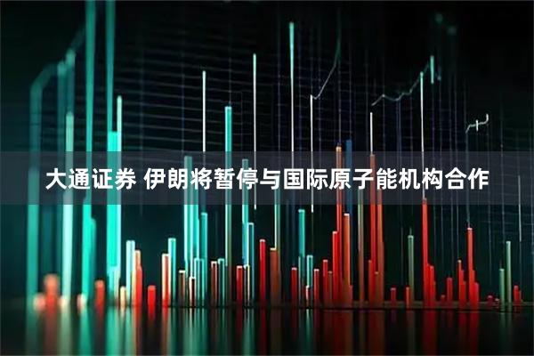 大通证券 伊朗将暂停与国际原子能机构合作