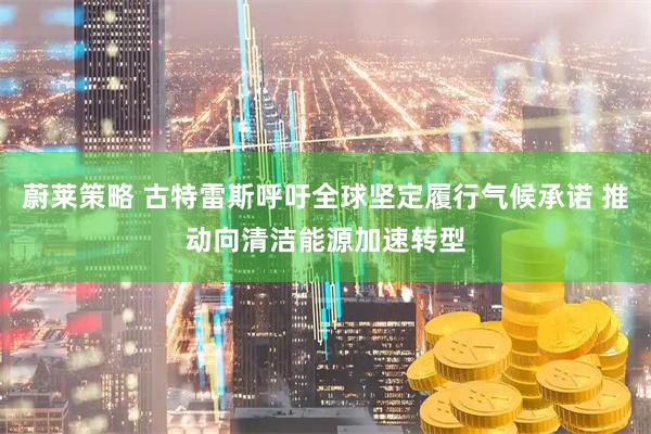 蔚莱策略 古特雷斯呼吁全球坚定履行气候承诺 推动向清洁能源加速转型