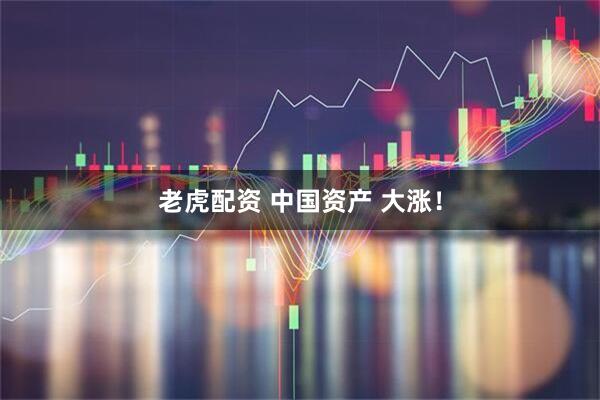 老虎配资 中国资产 大涨！