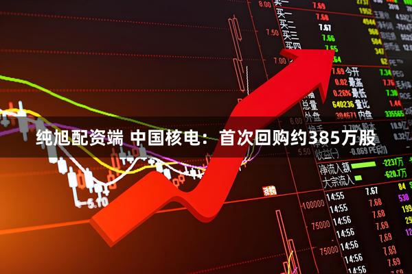 纯旭配资端 中国核电：首次回购约385万股