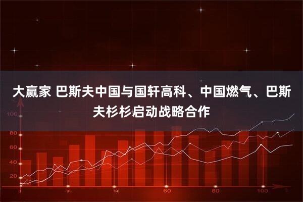 大赢家 巴斯夫中国与国轩高科、中国燃气、巴斯夫杉杉启动战略合作