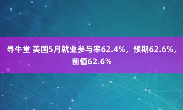 寻牛堂 美国5月就业参与率62.4%，预期62.6%，前值62.6%