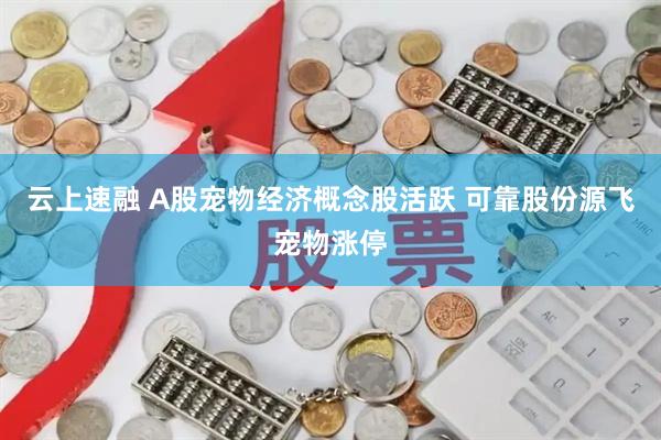 云上速融 A股宠物经济概念股活跃 可靠股份源飞宠物涨停