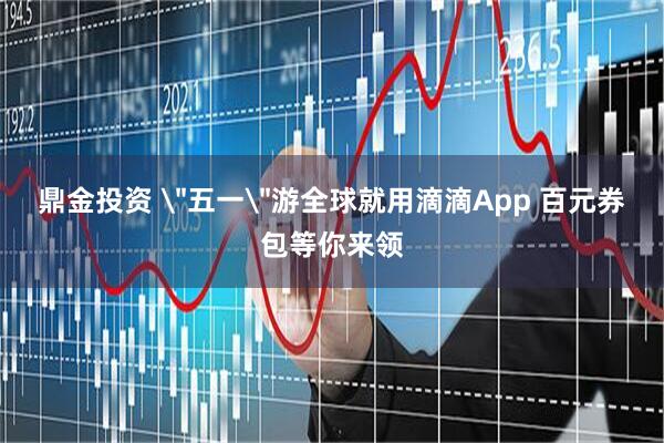 鼎金投资 