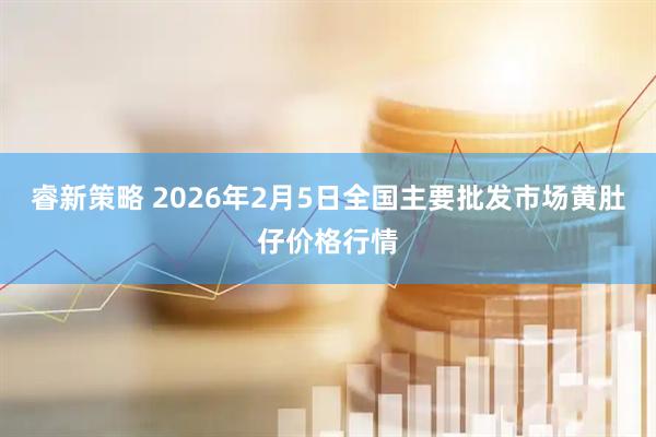 睿新策略 2026年2月5日全国主要批发市场黄肚仔价格行情
