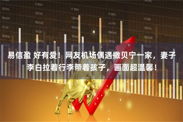 易信盈 好有爱!网友机场偶遇撒贝宁一家,妻子李白拉着行李带着孩子,画面超温馨!